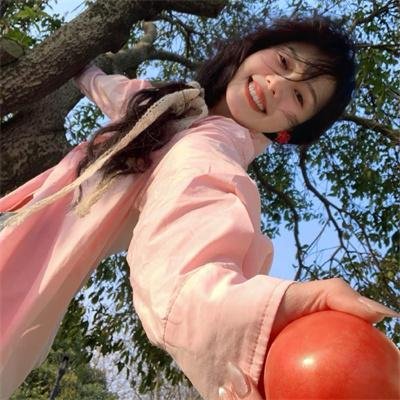 燕子盗