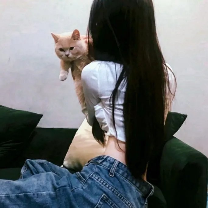 疯狂之月